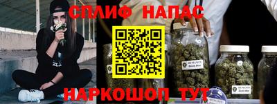 МДПВ Кингисепп