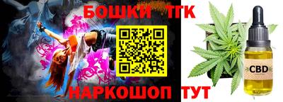 МДПВ Кингисепп