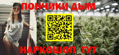 МДПВ Кингисепп