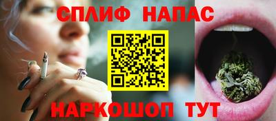 МДПВ Кингисепп