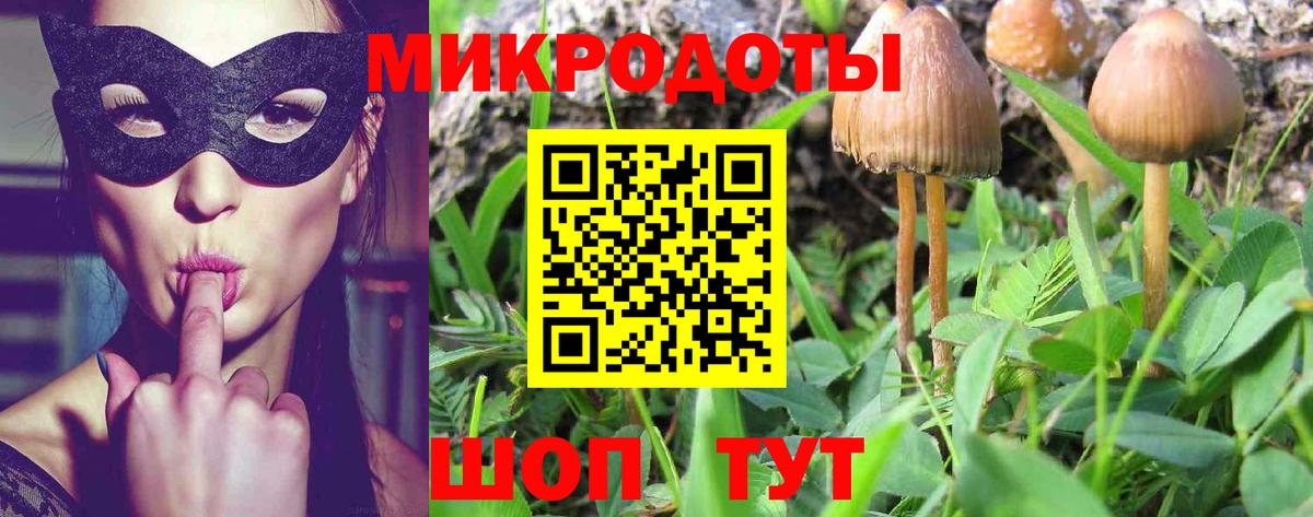 Галлюциногенные грибы Magic Shrooms  Вход с VPN  Верхняя Пышма 